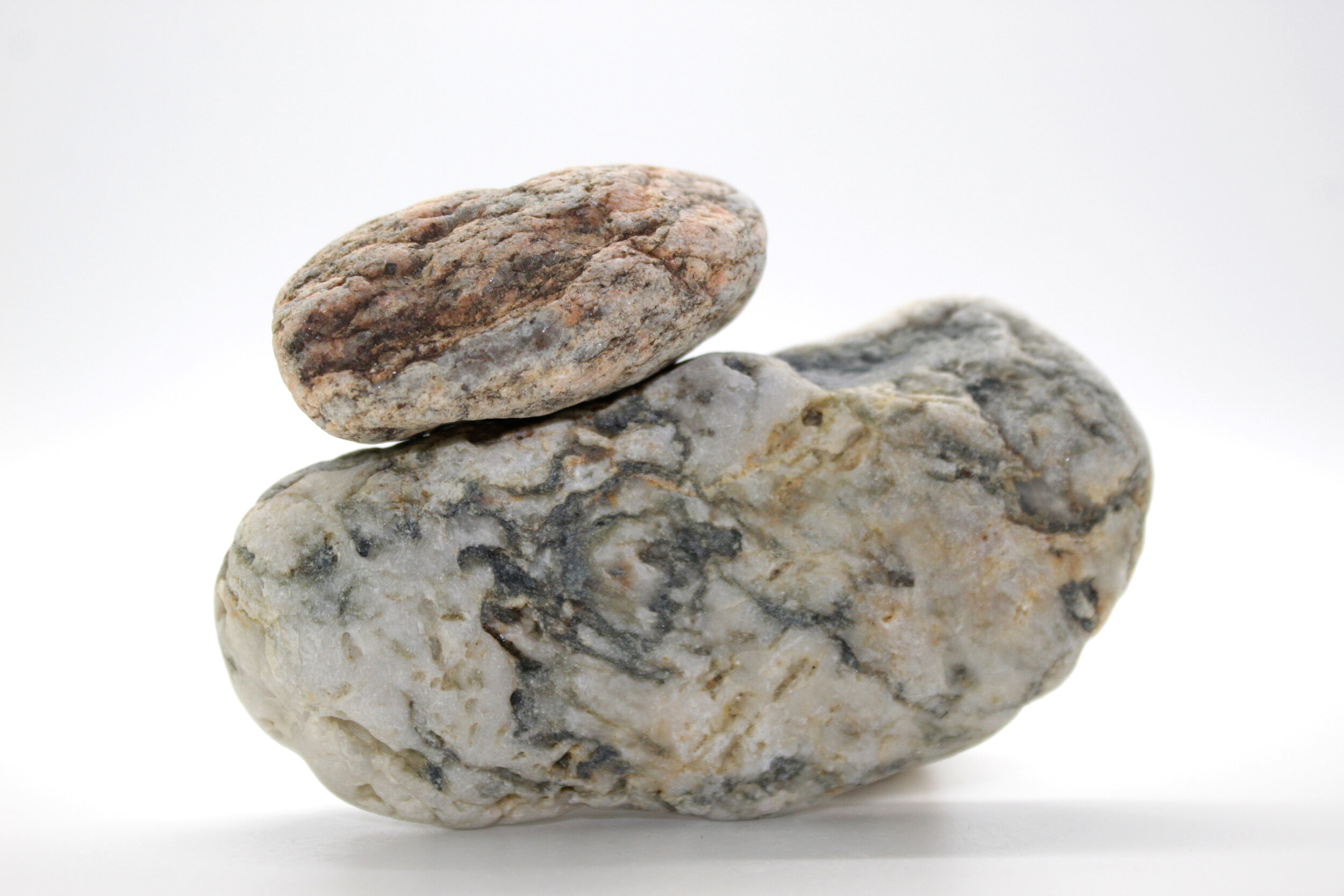 "Holding" Photograph