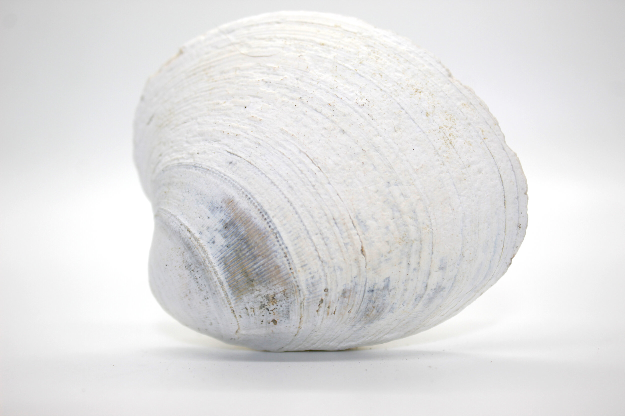 "Stillness" Photograph