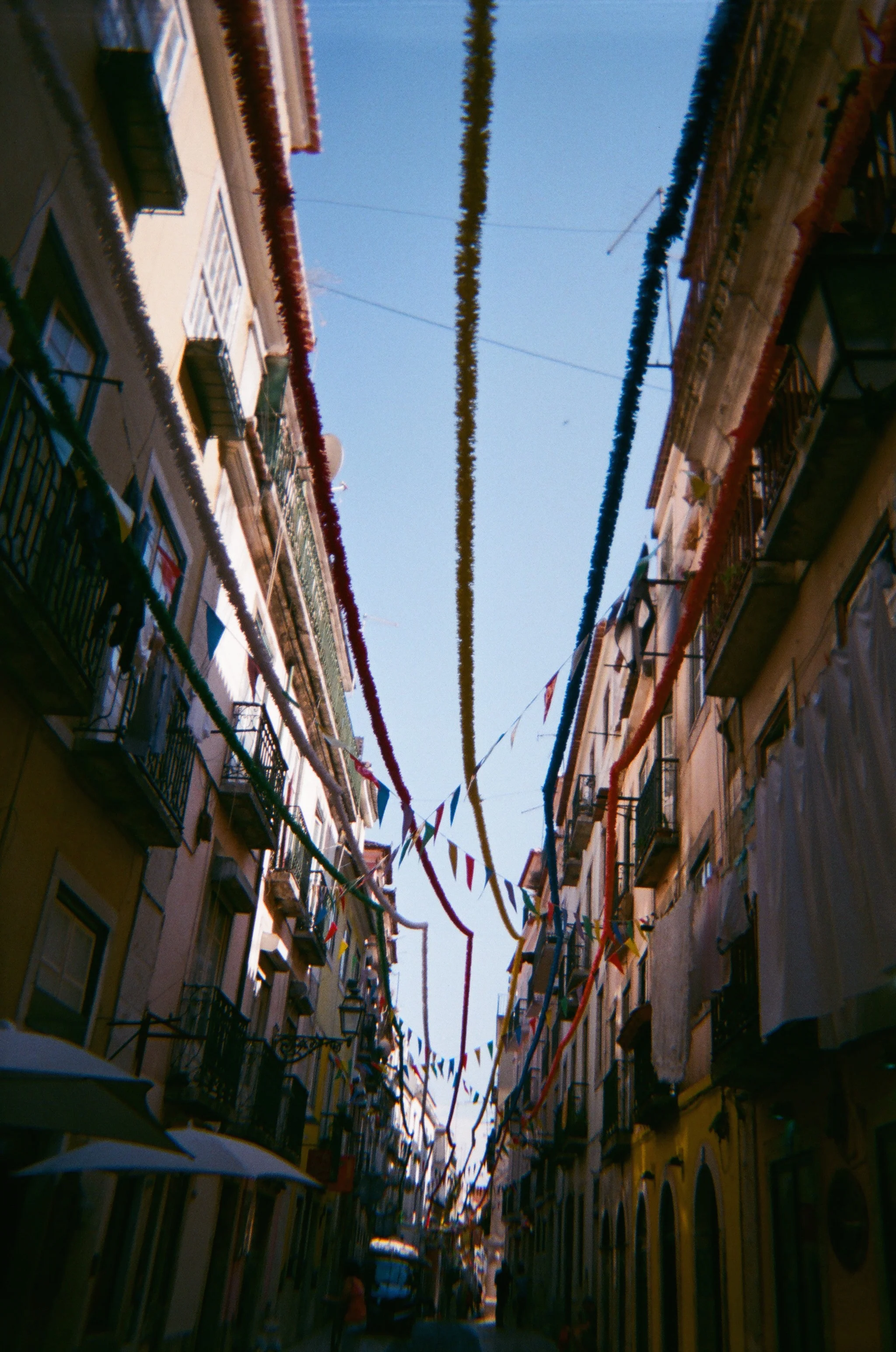 01460018.JPG