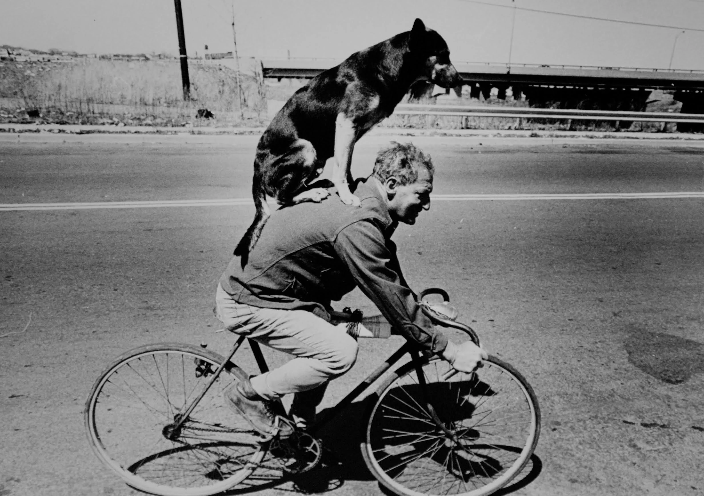 Only in Jersey City could you see this riding by. Photograph by Bill Bayer. 