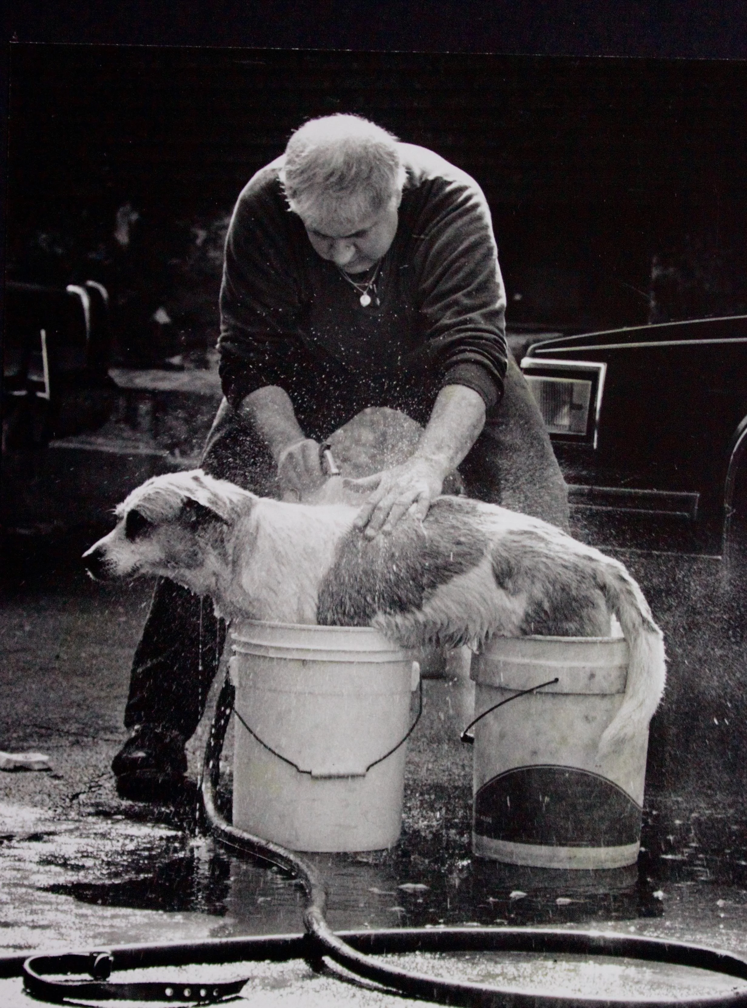 Jersey City dog wash. Photograph by Bill Bayer. 
