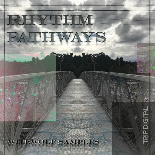 0149-180308-rhythmpathways.jpeg