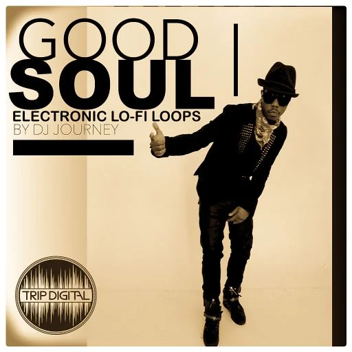 0210-181012-goodsoulelectronic.jpeg