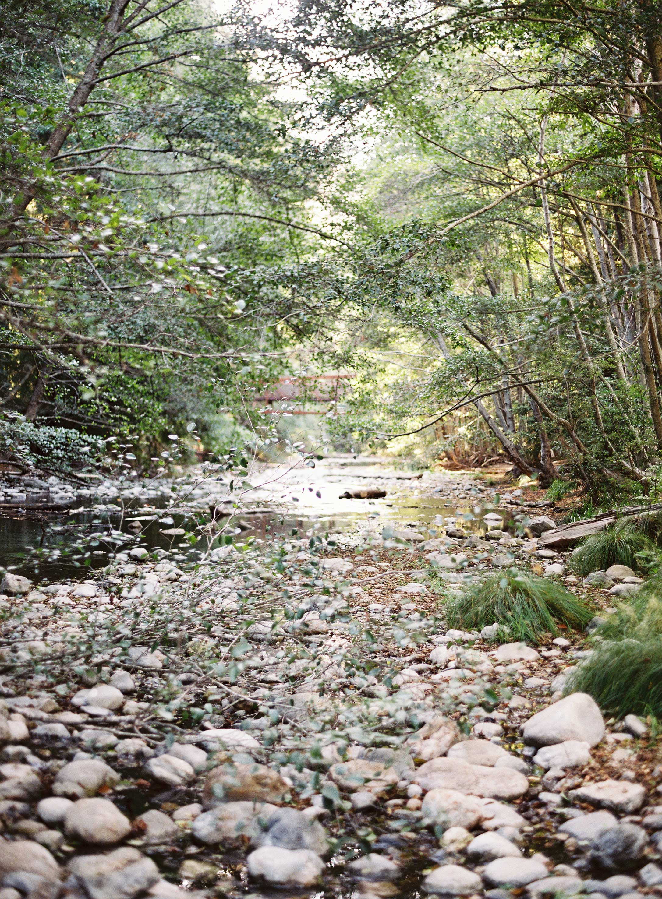 007713-R1-001.jpg