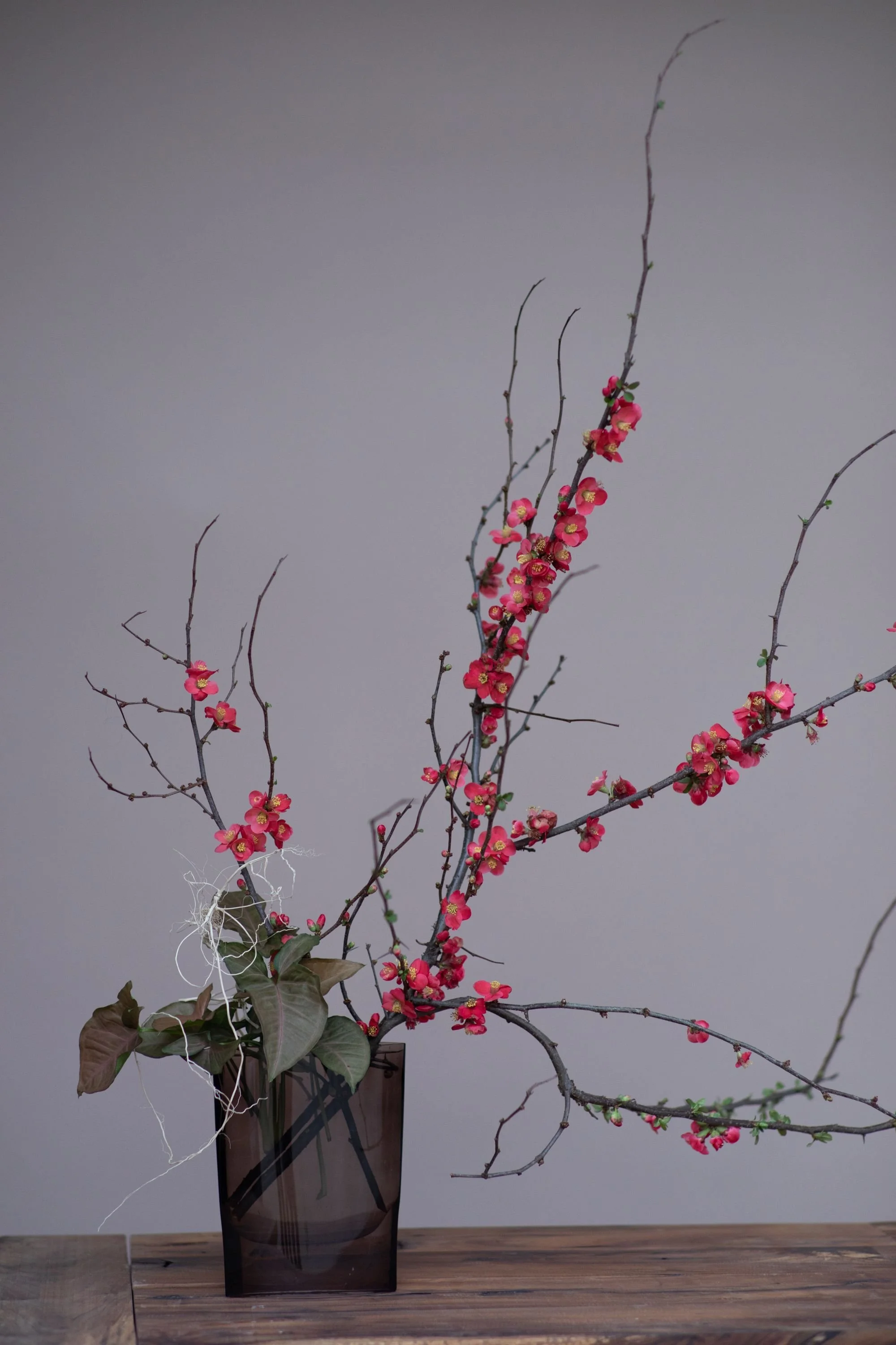 Revisiting Ikebana Unbound — STUDIO MONDINE