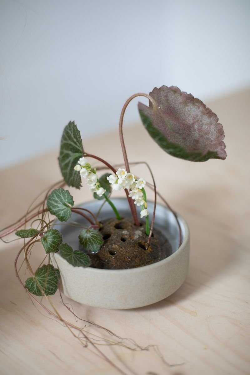 Revisiting Ikebana Unbound — STUDIO MONDINE