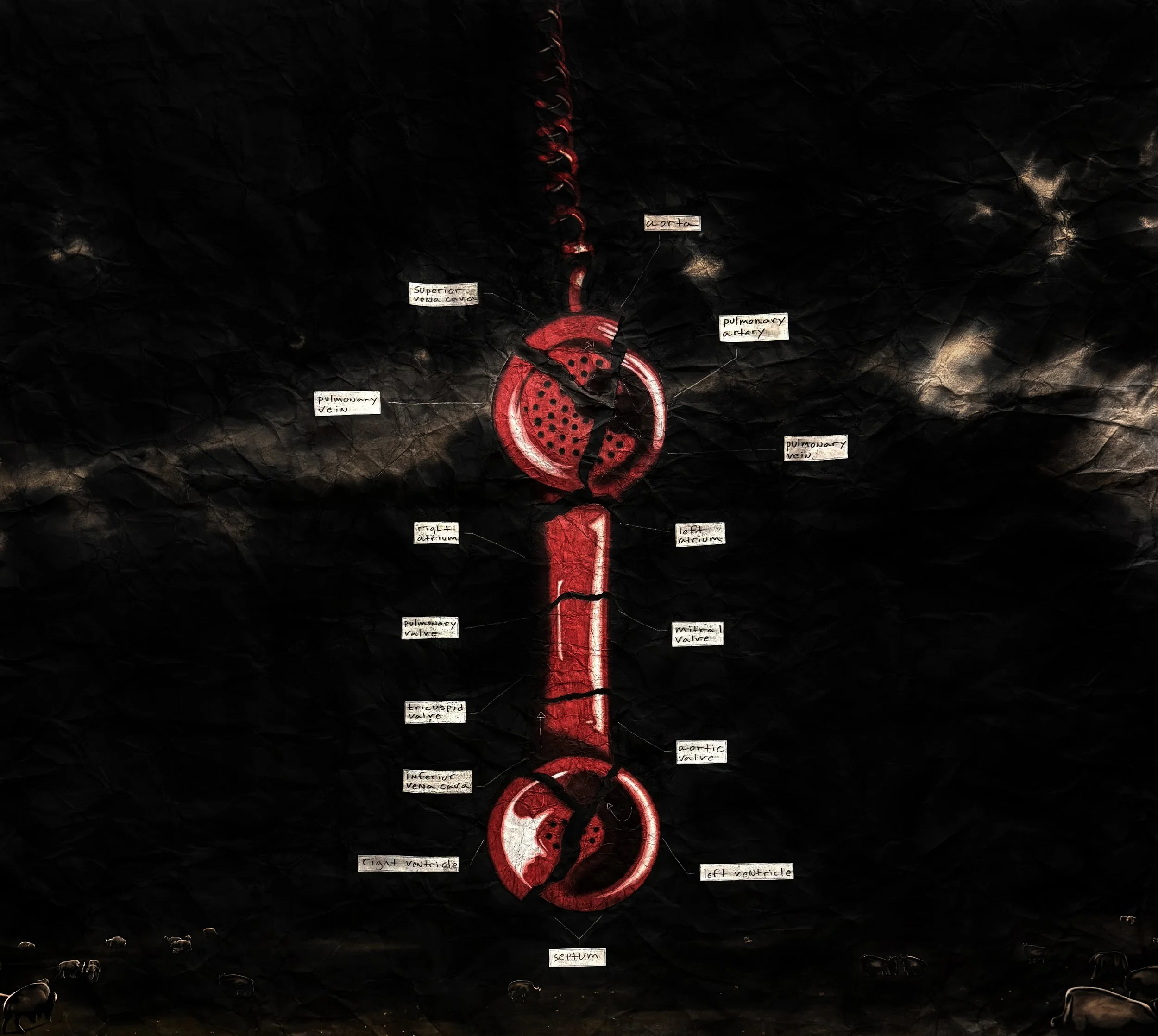 STETHOSCOPE