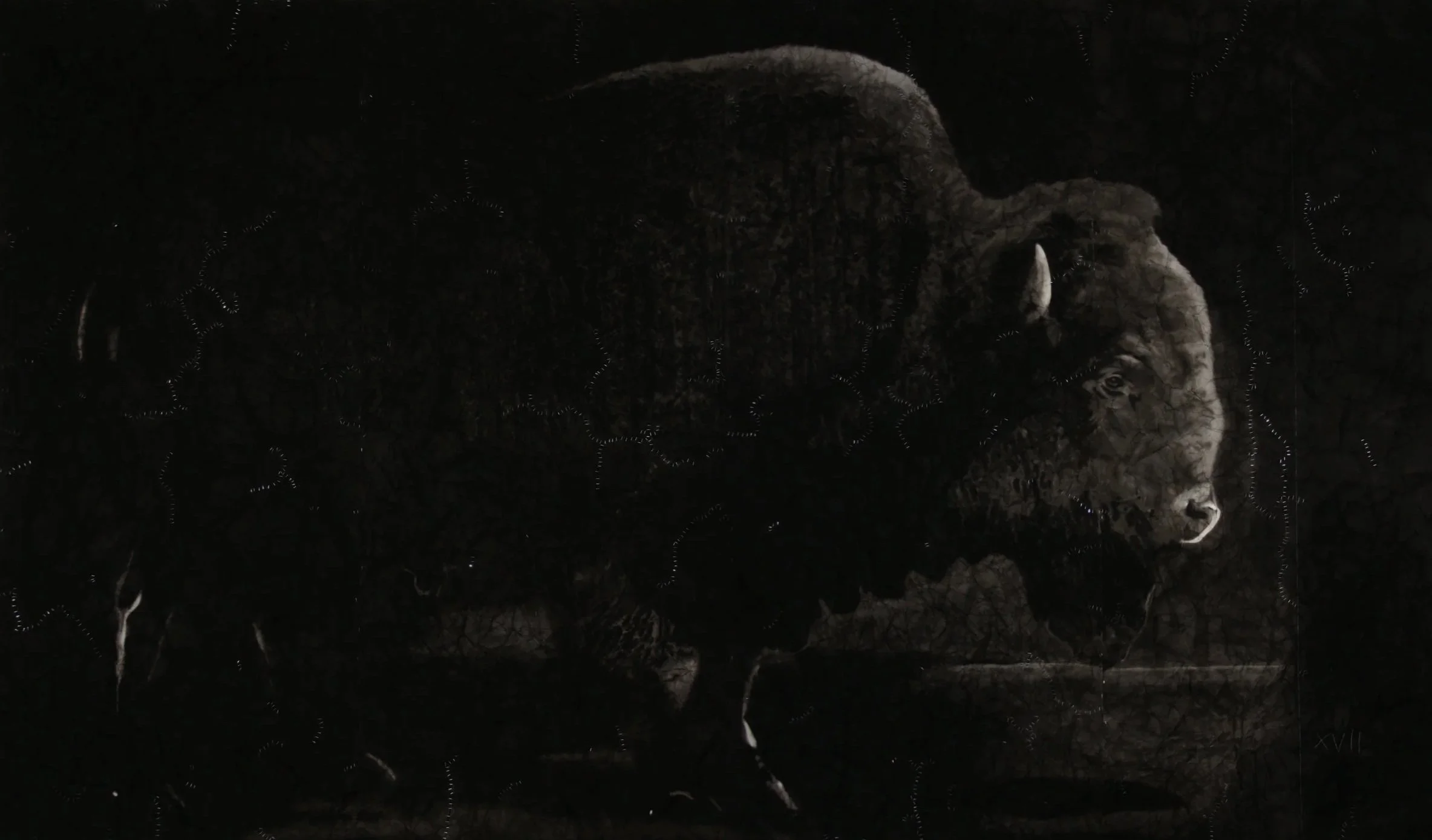 BUFFALO