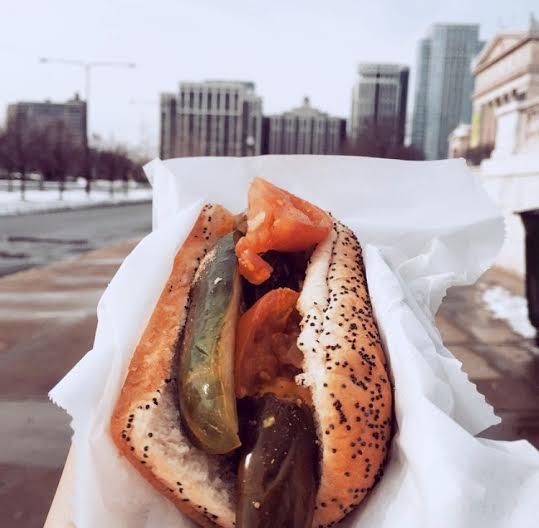 Vegan dog! Instagram @maibananna