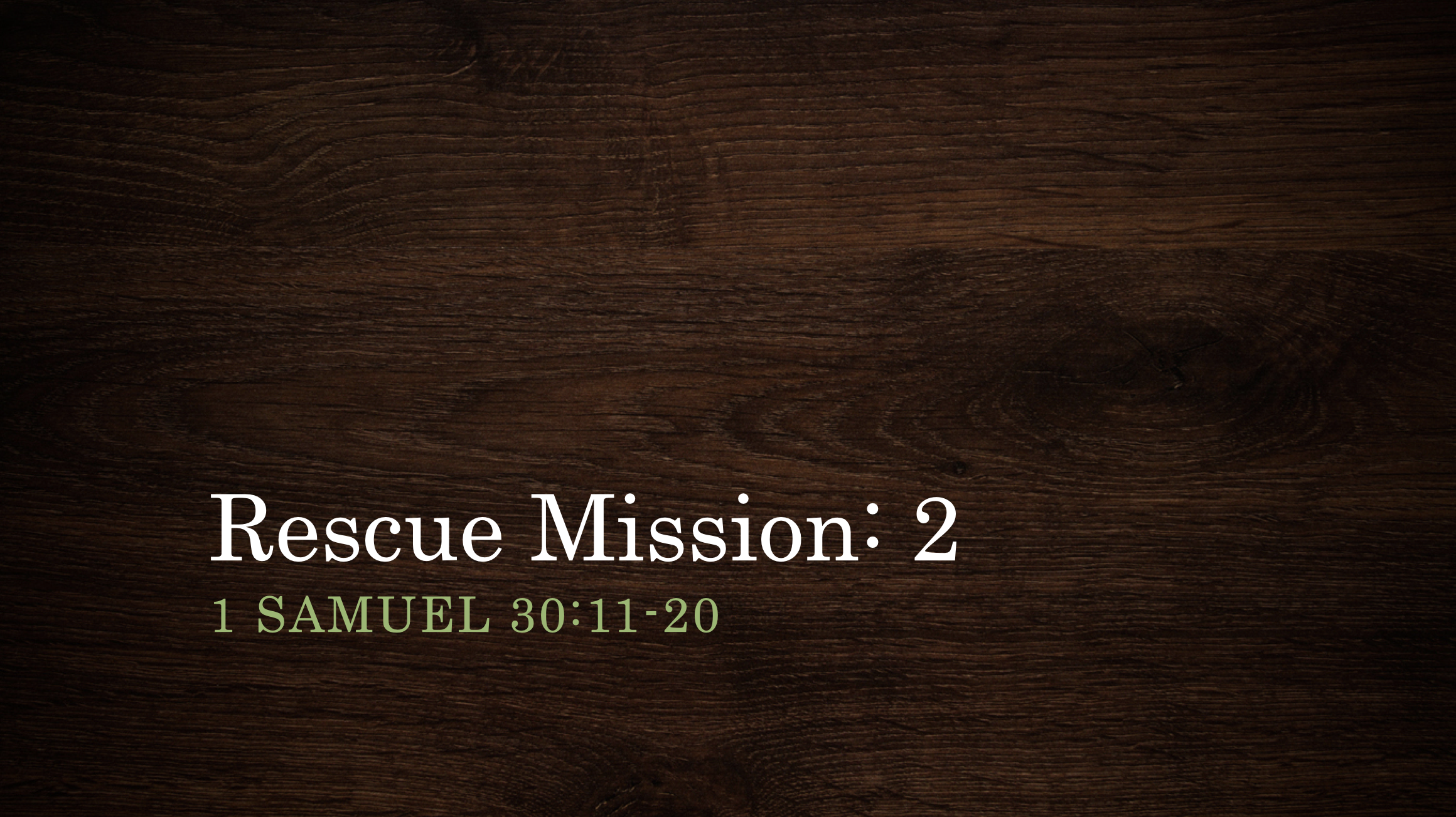 1 Samuel 30:11-20 | Rescue Mission [Part 2]