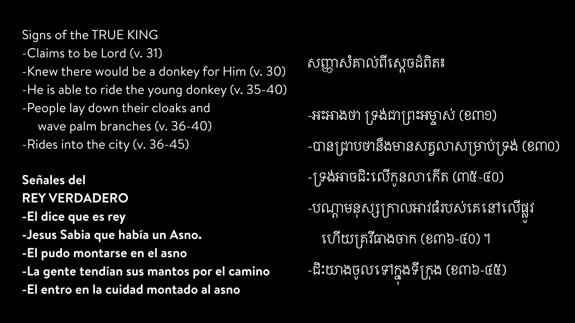 -palm-sunday-2019-sermon.006.jpeg