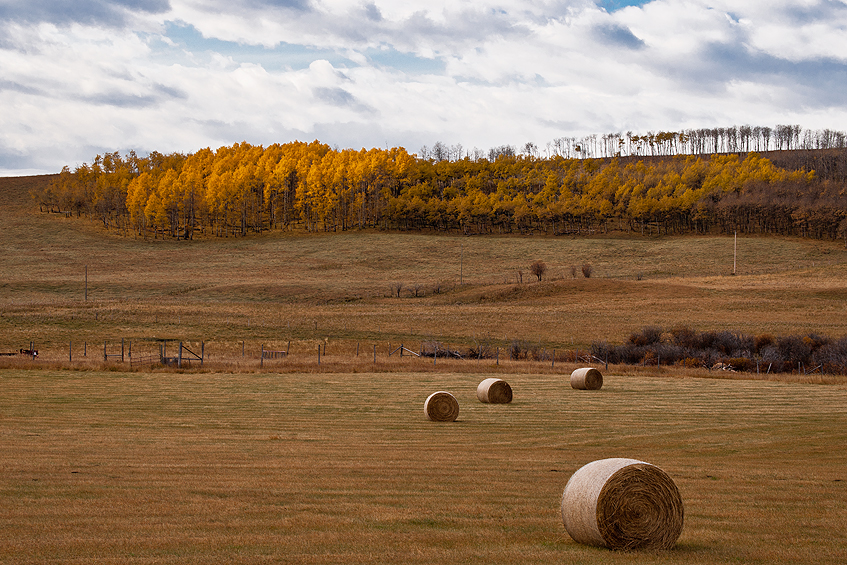 _DSC6569.jpg