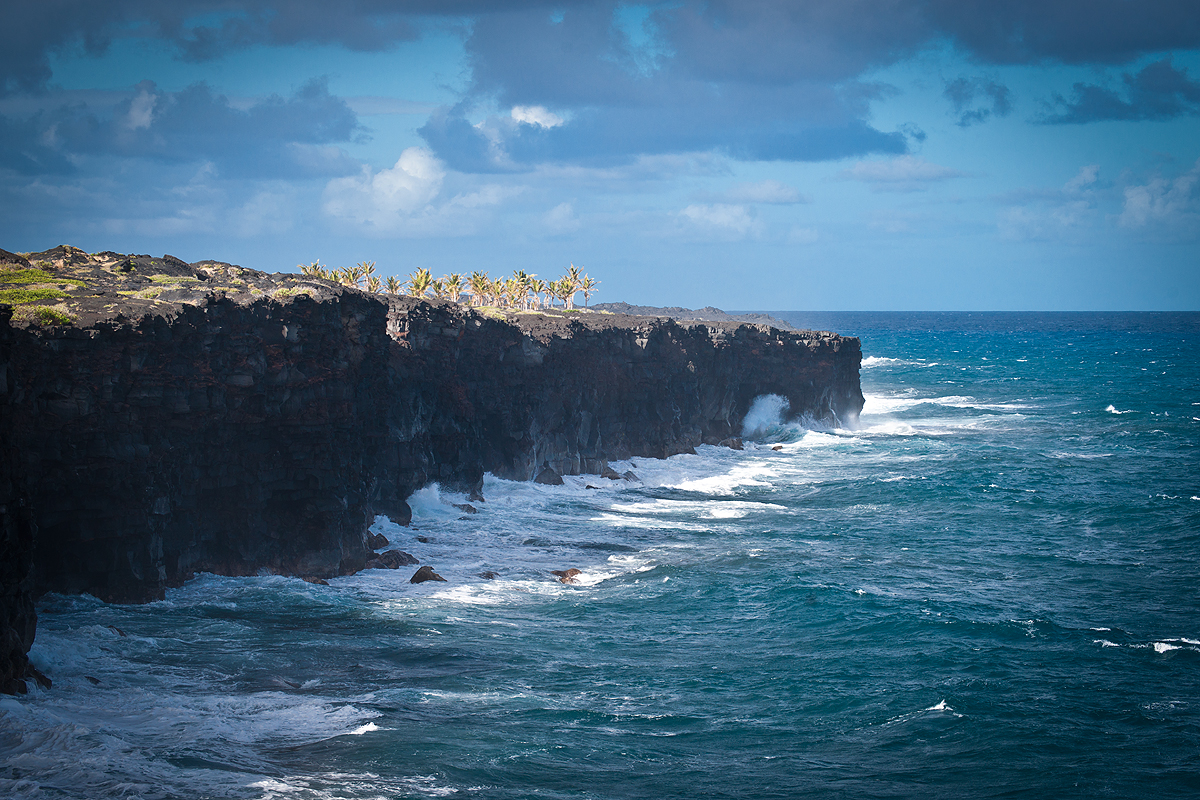 _DSC9553.jpg