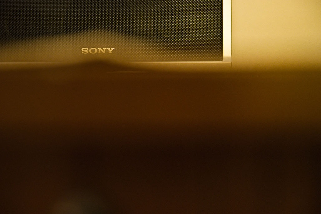 DSC00486.jpg