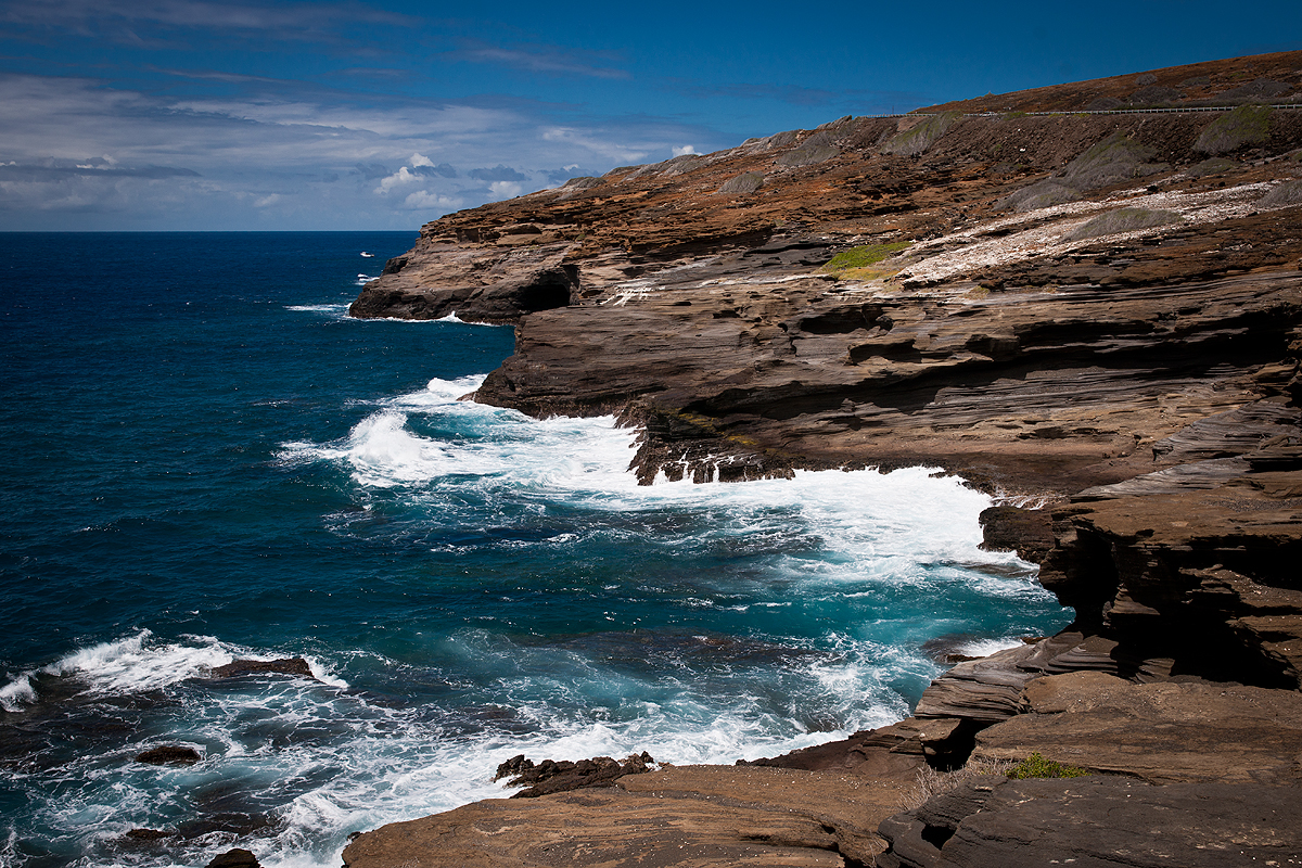 _DSC9265.jpg