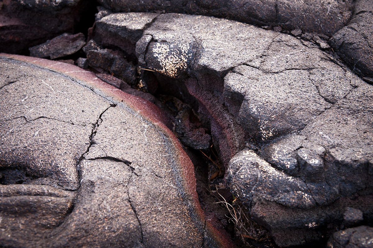 _DSC9534.jpg