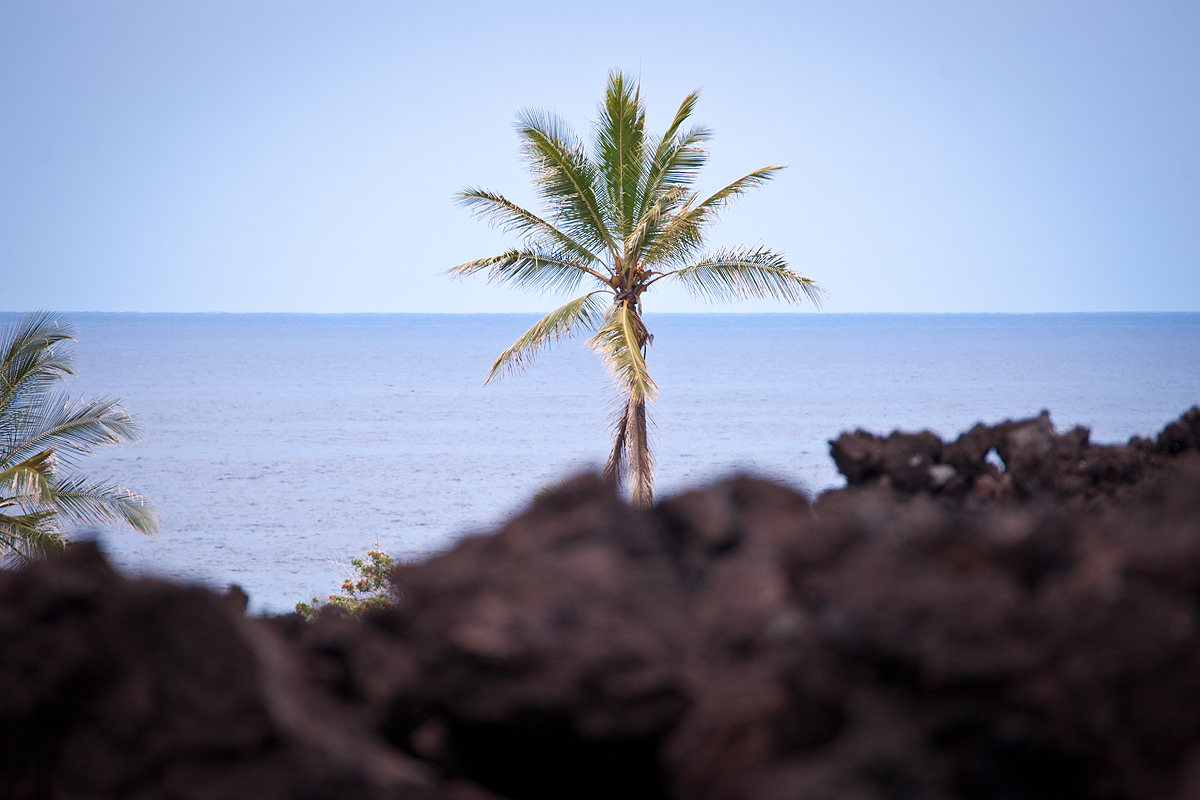 _DSC9473.jpg