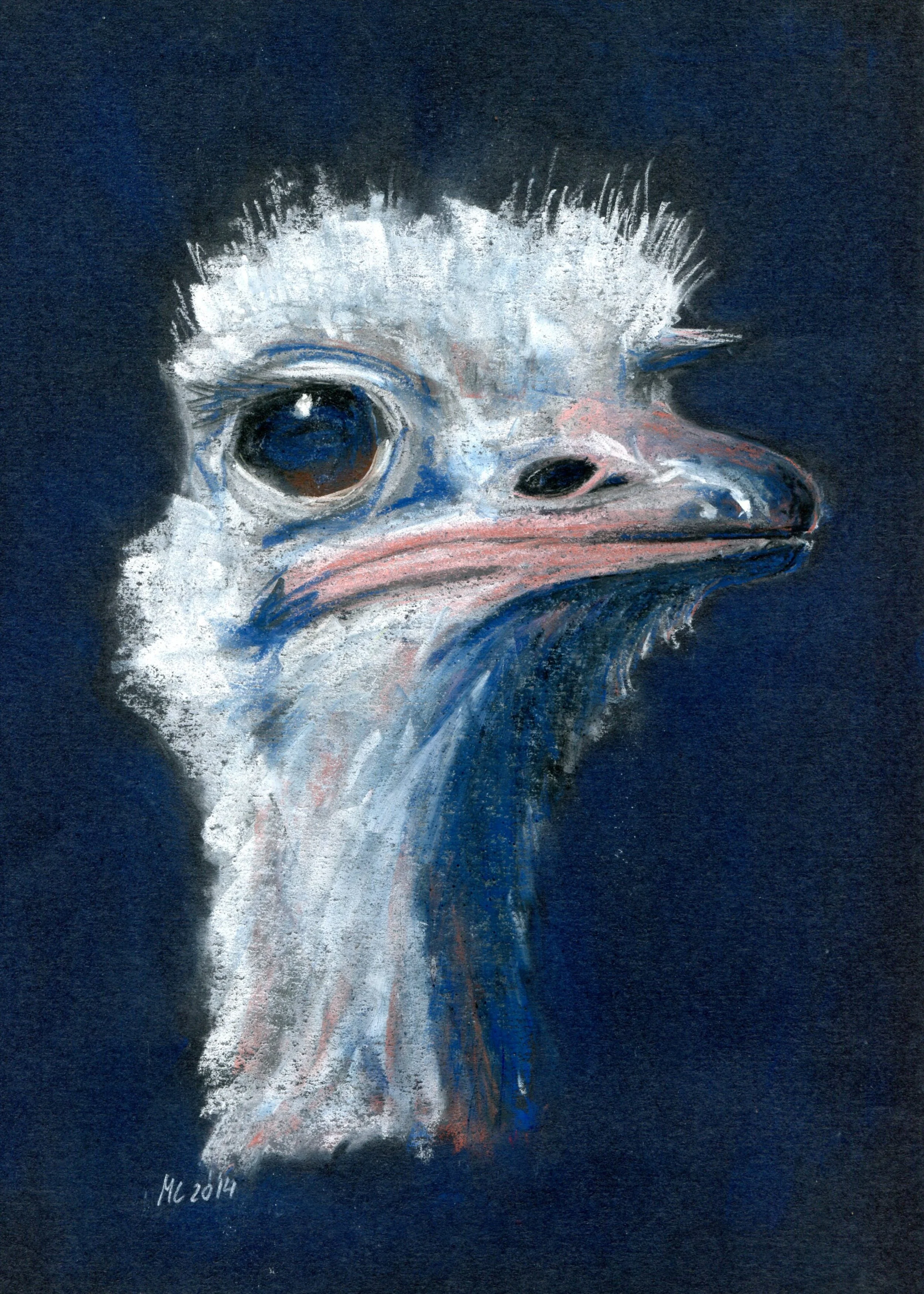 Claussen, Maike 32a Watching You, Pastel.