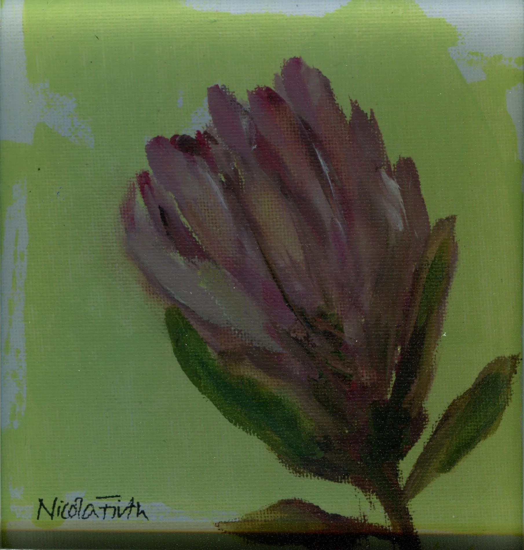 Firth, Nicola 84 Mini Lime Protea, Oil on canvas.jpg