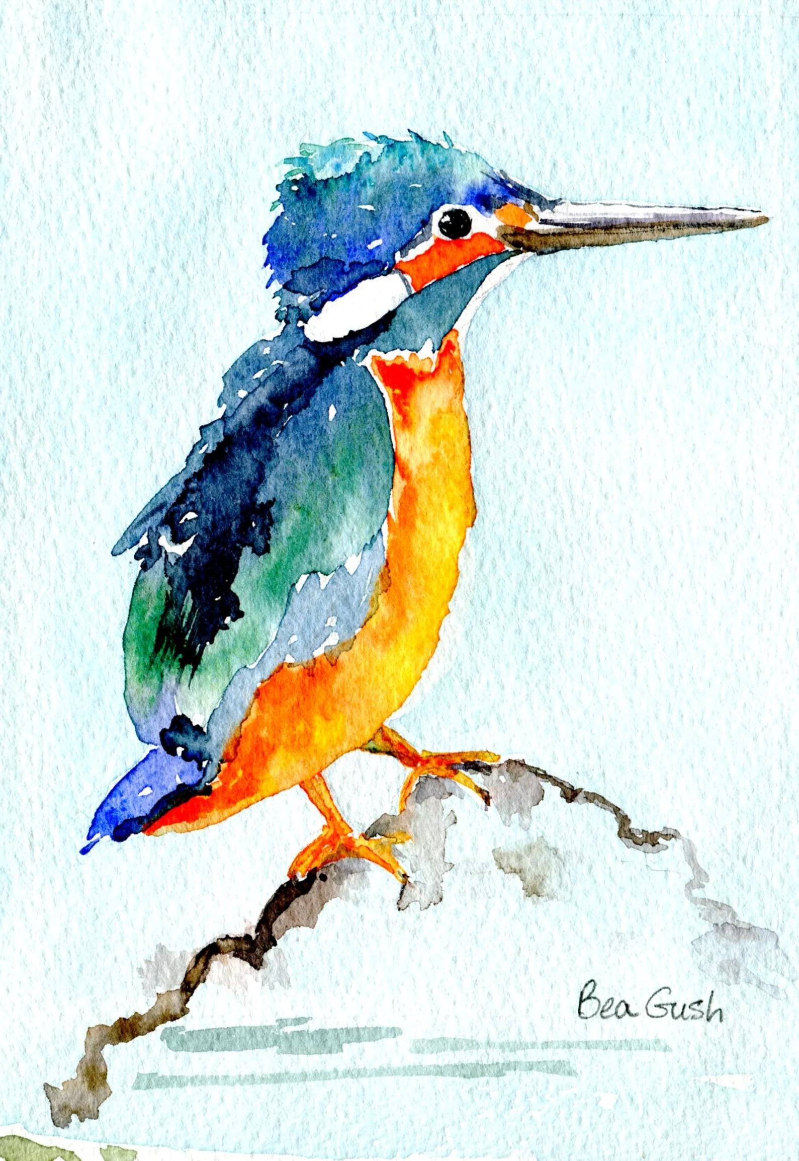 Gush, Bea 20 Malachite Kingfisher, Water-colour.