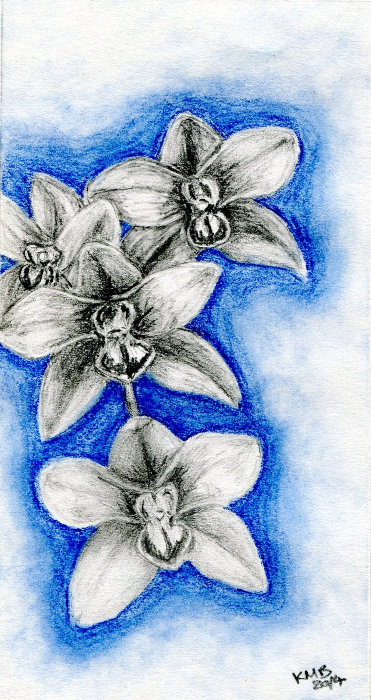 MacBean, Kate 52 Orchid, Mixed media.