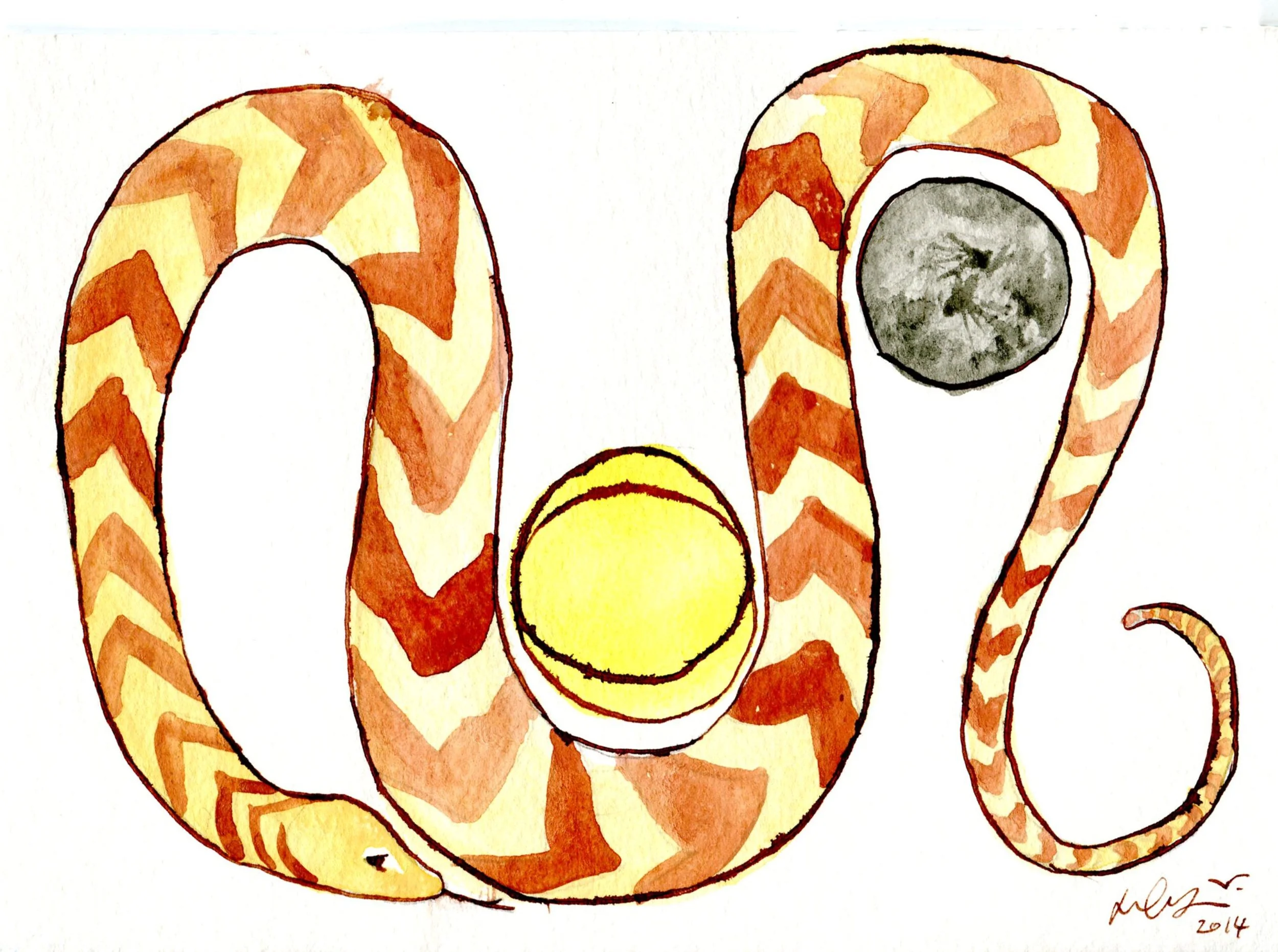 McGarry, Dylan 68b Overlapping Suns, the Moon and the Thoughtful Puffadder, Watercolour, Indian .