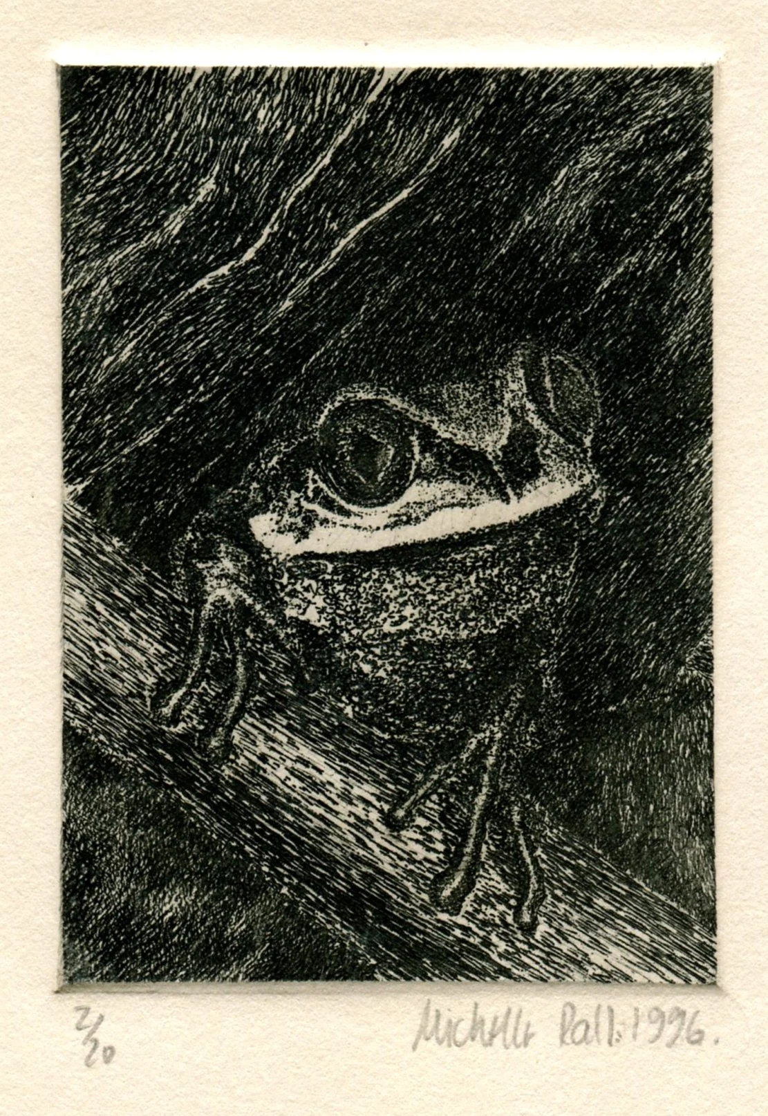Rall, Michelle 69a Reed Frog, Etching.