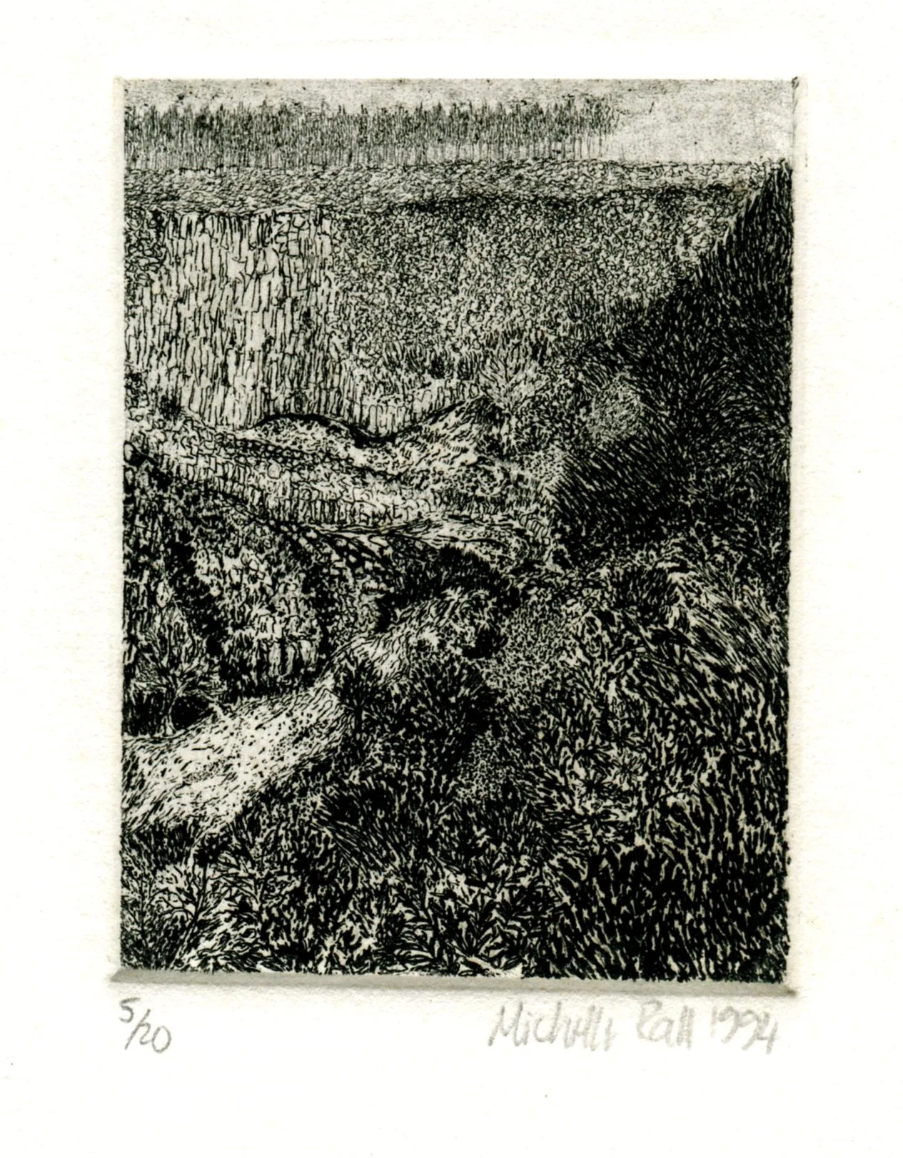 Rall, Michelle 69b Near Storms River, Etching.