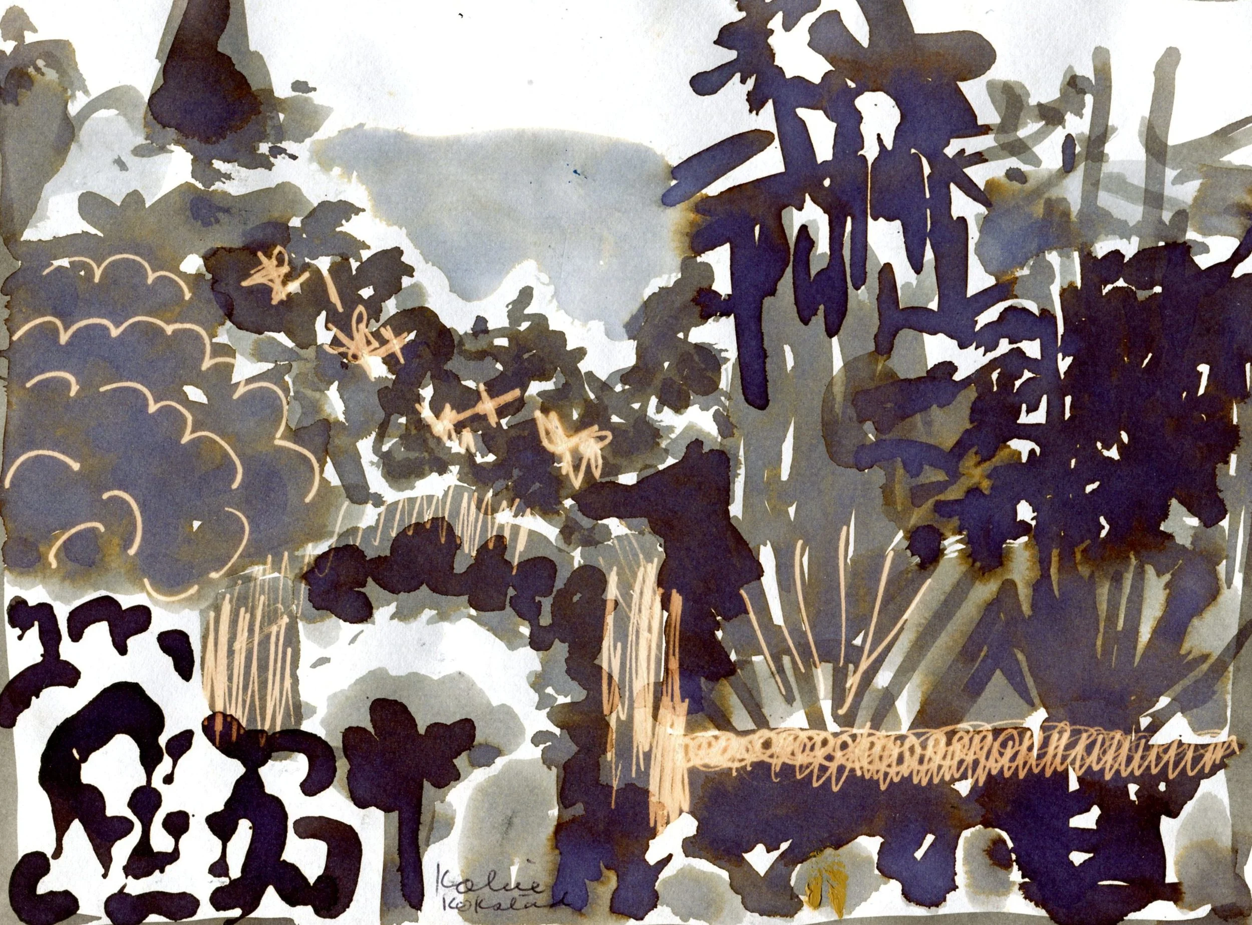 Venter, Kobie 82c Kokstad Farm Garden, Ink and bleach.
