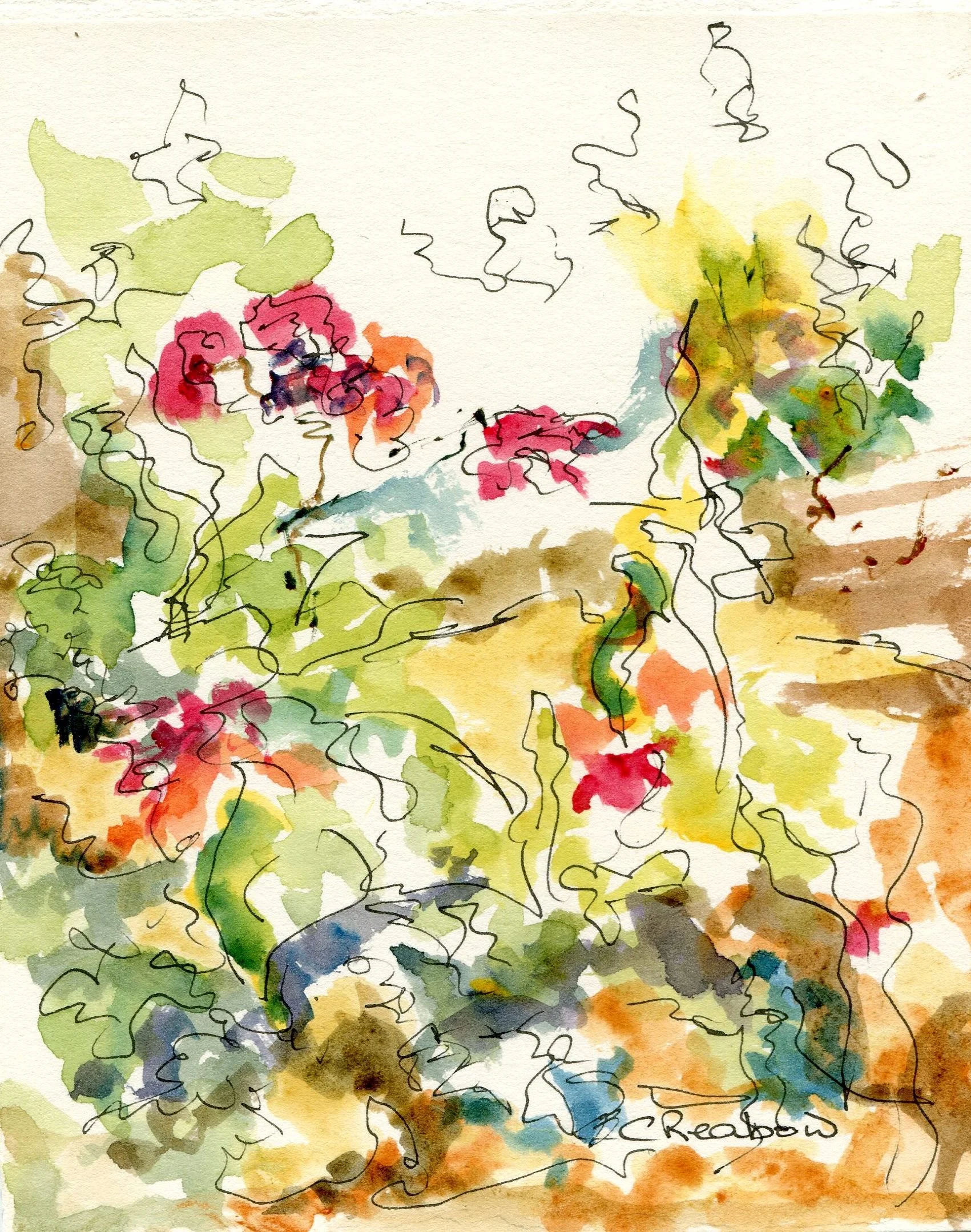 60b Reabow,Chris- Floral Study II, Watercolour and Ink.jpg