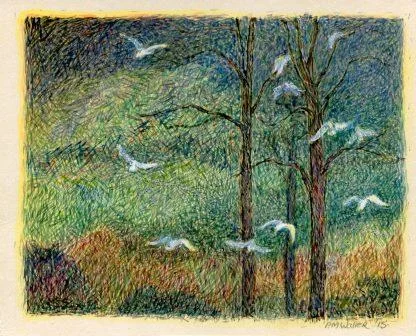 17a Waller, Penny-Egrets, egg tempera.jpg