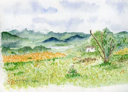 50a Glynn, Gail - Namaqualand, Water colour.jpg