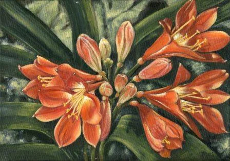53 Miles, Jenny - Clivias, Oil.jpg