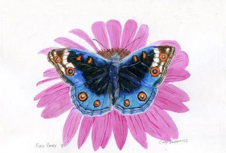 66c Bonkewitzz, Cindy - Eyed Pansy Butterfly,Acrylic on paper.jpg