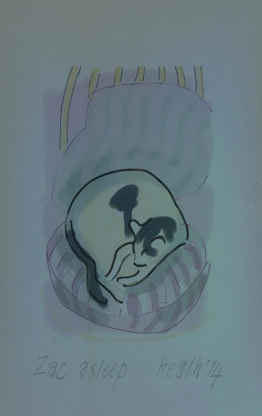 106 Heath, Jinny - Zac asleep, Giclee Print on wove paper..jpg