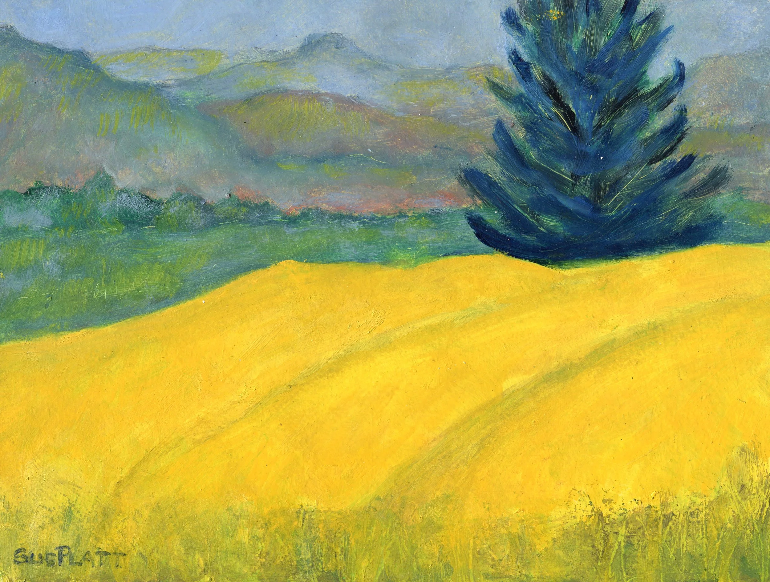 27A Sue Platt Summerland oil on board