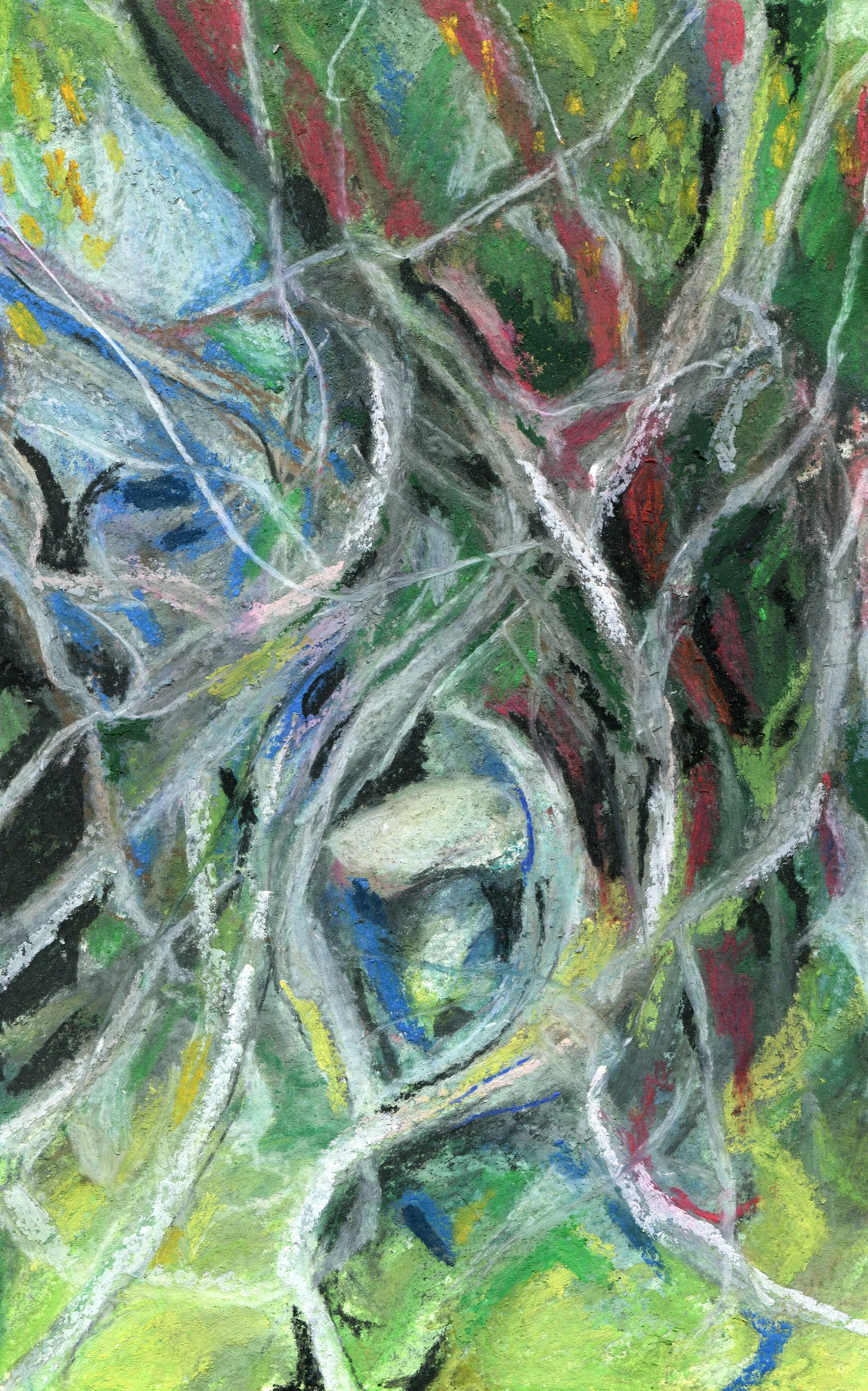82a Josephine Trickett Strangler fig pastel on paper
