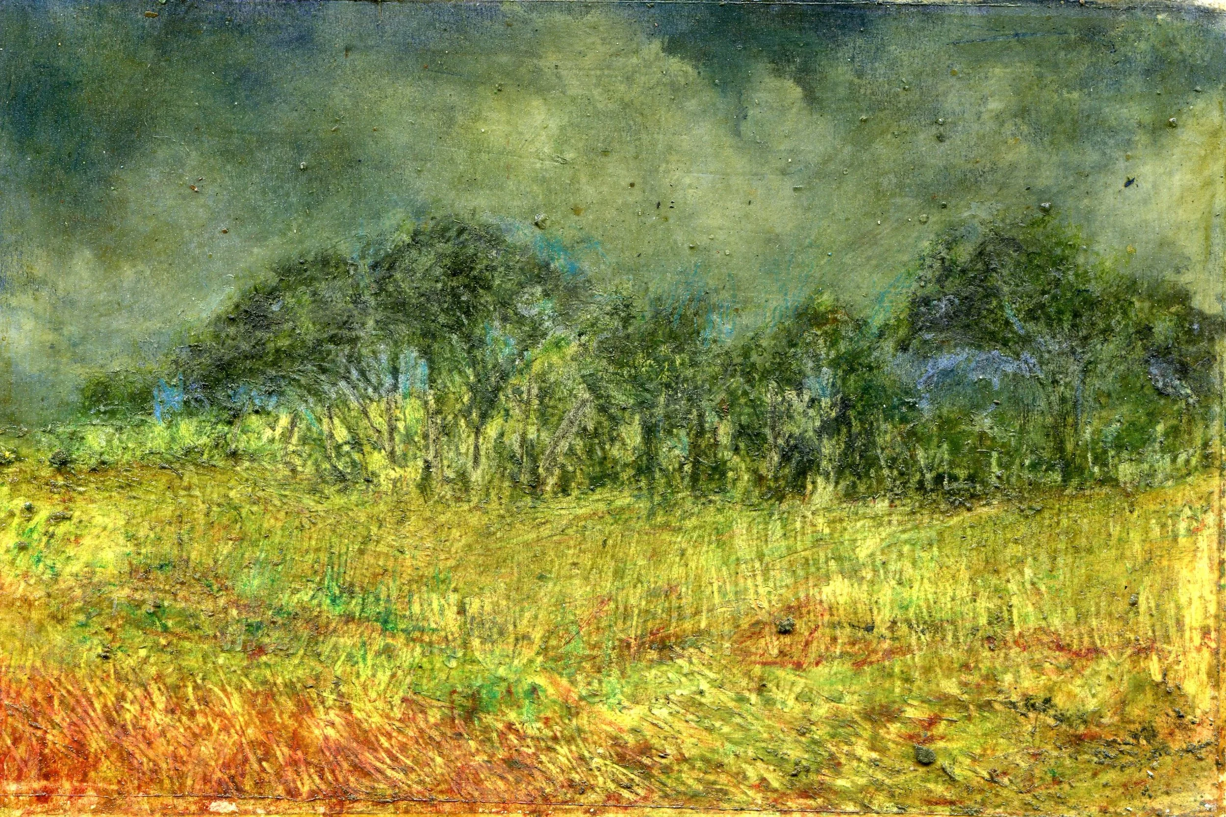 38a Shan Jacobs Mount Frere in summer mixed media on board