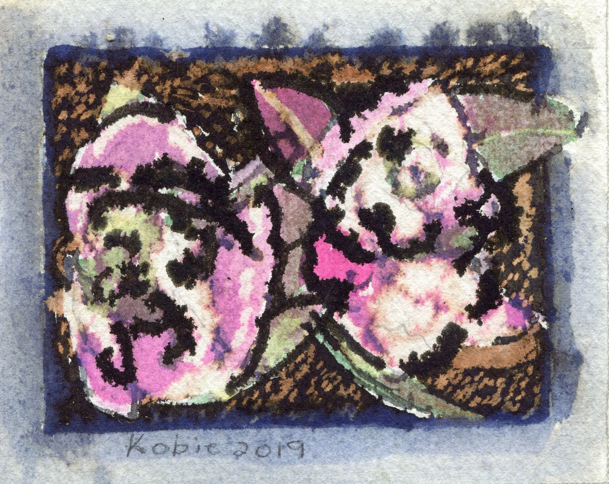 50b Kobie Venter Camellia 2 ink drawing on paper
