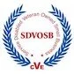 SDVOSB-CVE-Logo-300x300.jpg