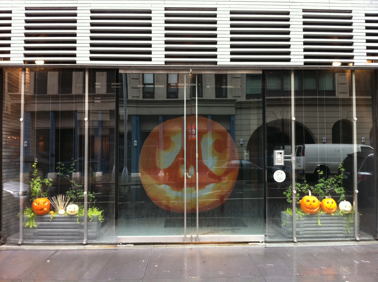 image1.jpeg