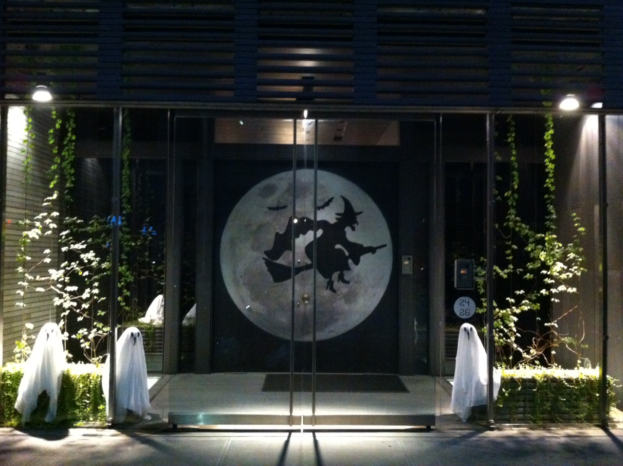 image6.jpeg