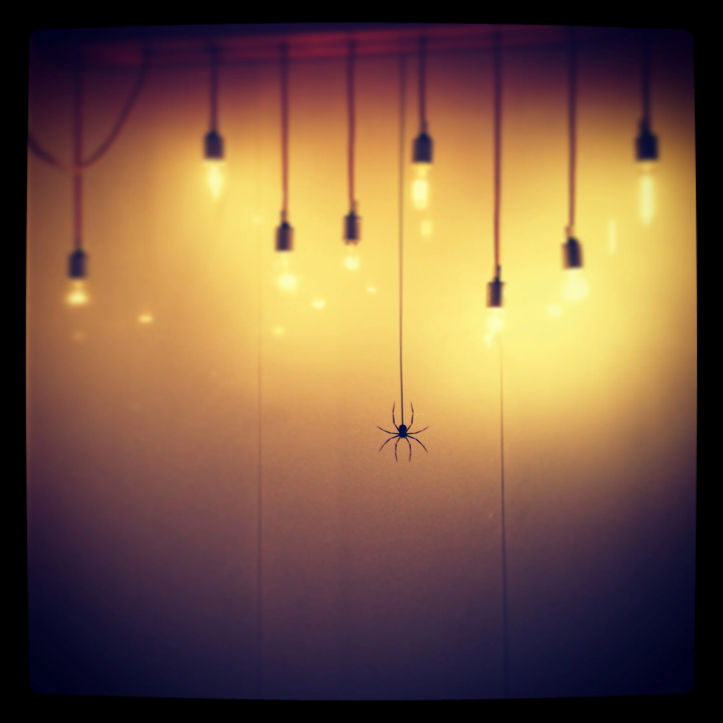 image12.jpeg