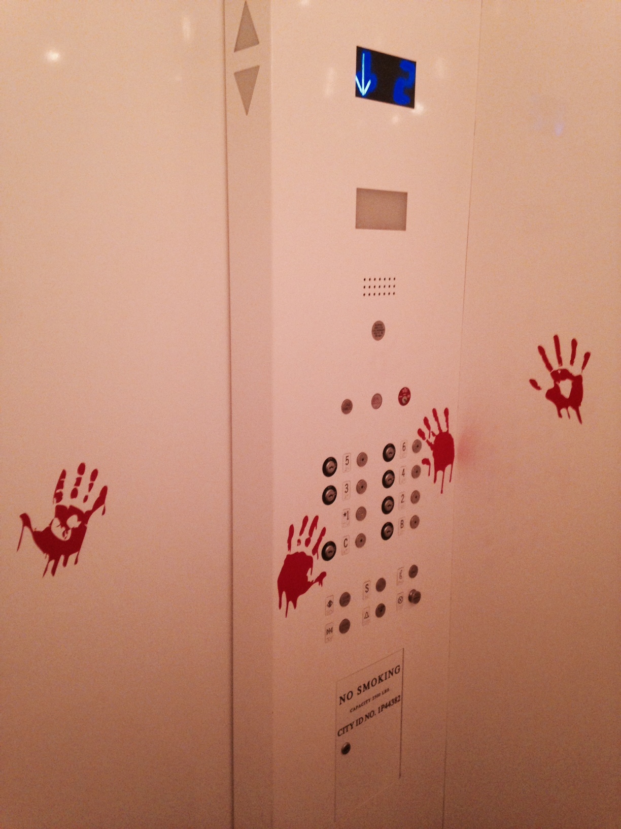 image14.jpeg