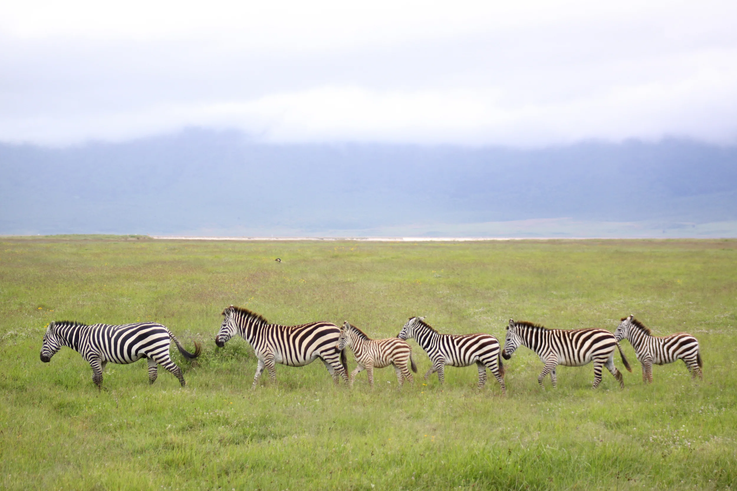 20140505_BrianLeighton_9515 copy.JPG