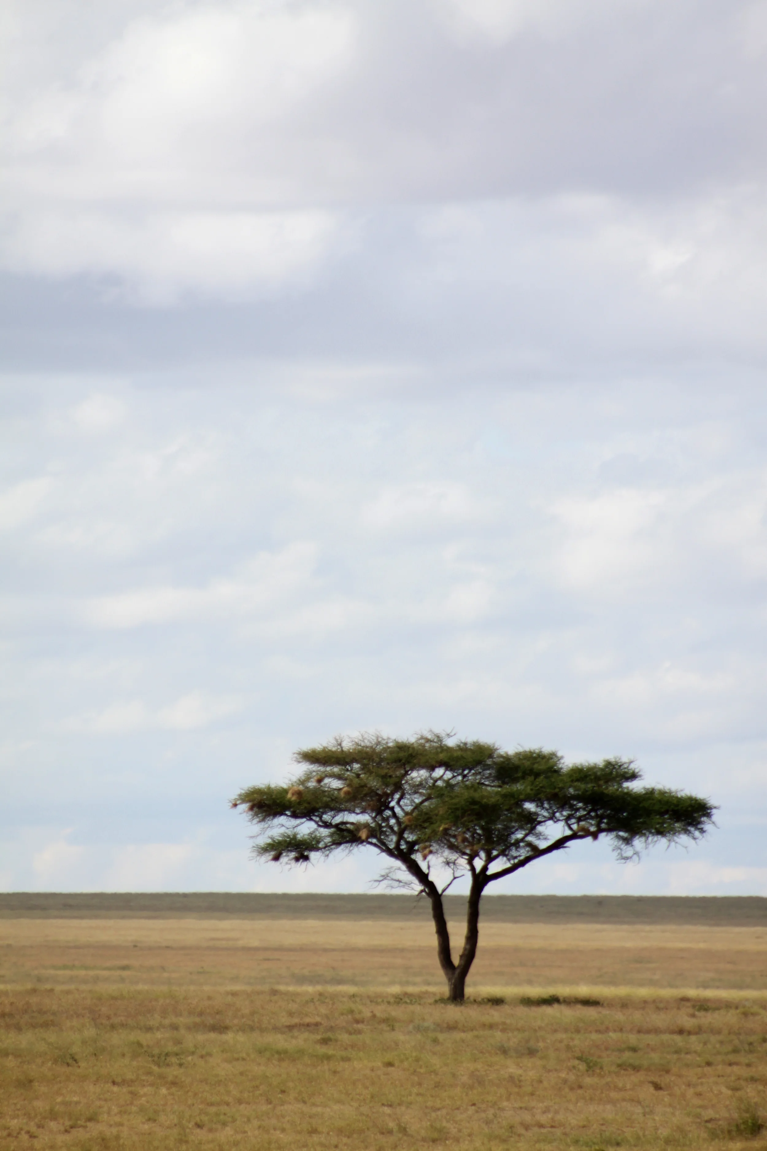 20140506_BrianLeighton_9555 copy.JPG