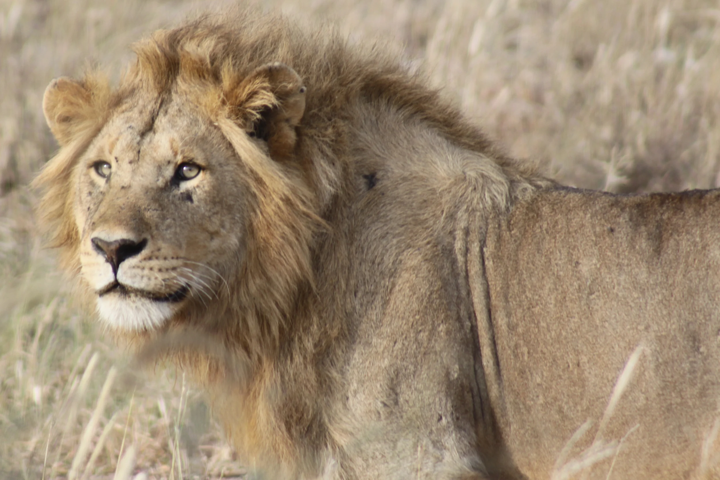 20140507_BrianLeighton_9586 copy.JPG