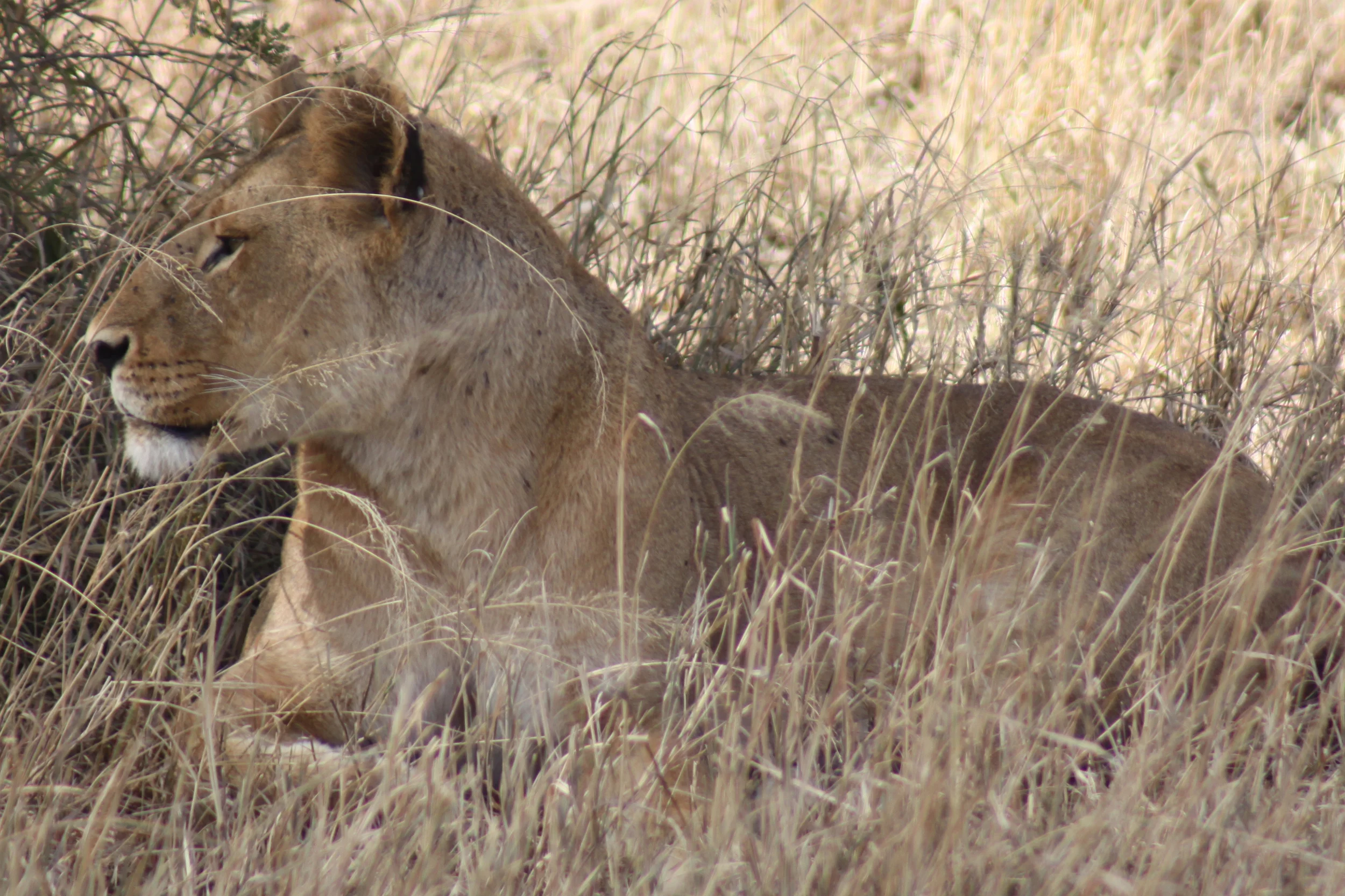 20140507_BrianLeighton_9623 copy.JPG