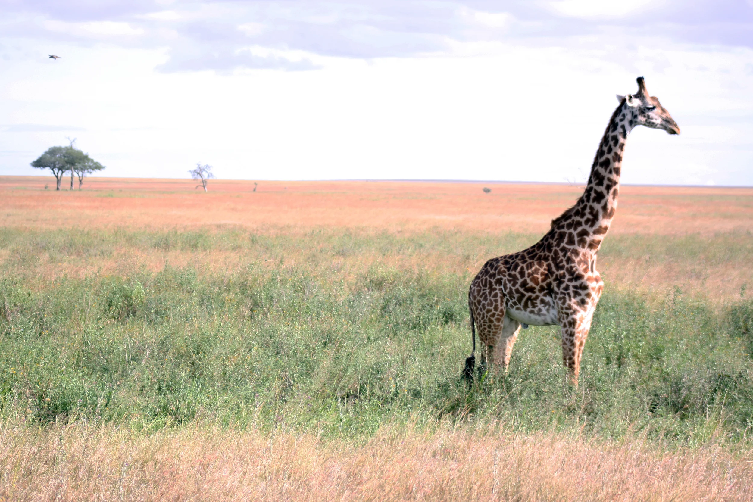 20140506_BrianLeighton_9574 copy.JPG