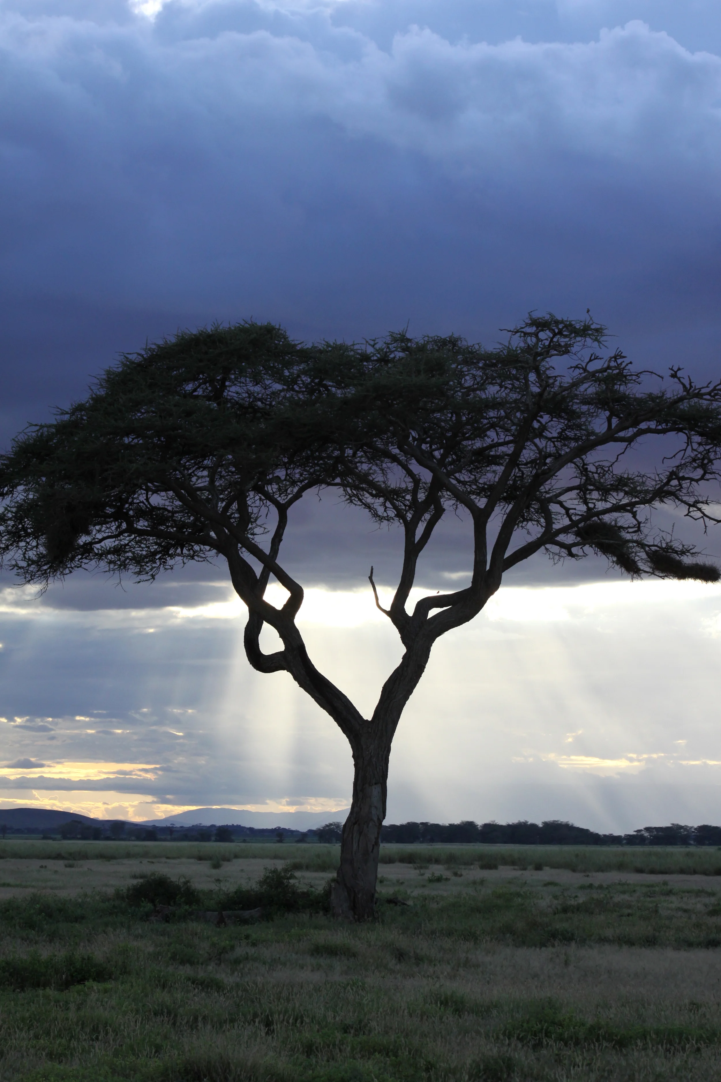 20140508_BrianLeighton_9660 copy.JPG